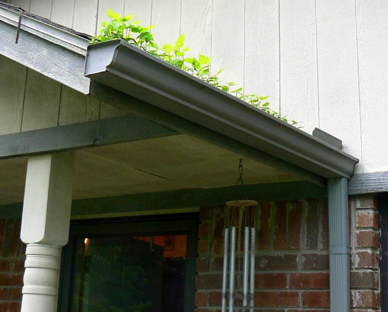 Gutter Cleaning in Green Bay